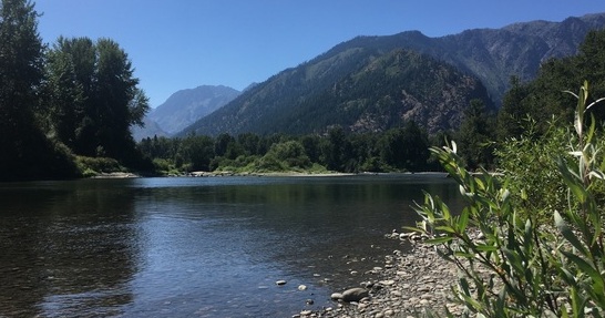 river, forest, western washington, environment